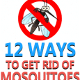 12 Ways to Get Rid of Mosquitoes