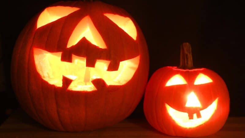 Jack-o-lanterns with citronella candles for Halloween