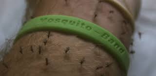Bands are not effective repellents
