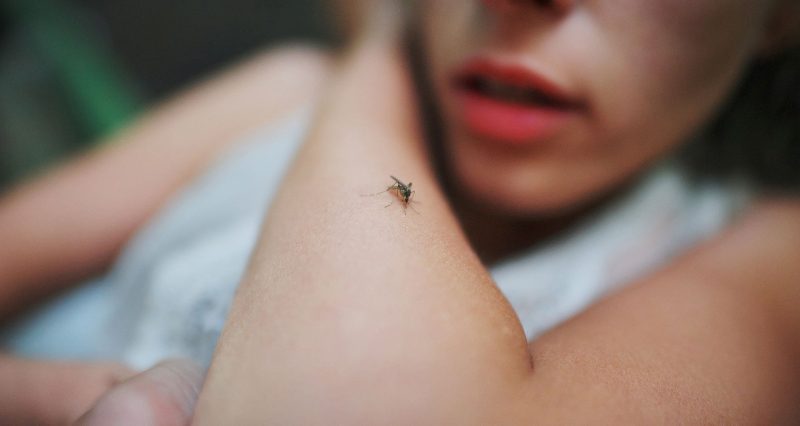 A girl bit because of not eating food to ward of skeeters