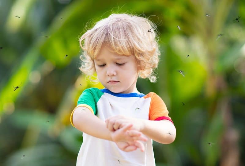 A boy scratching mosquito bites