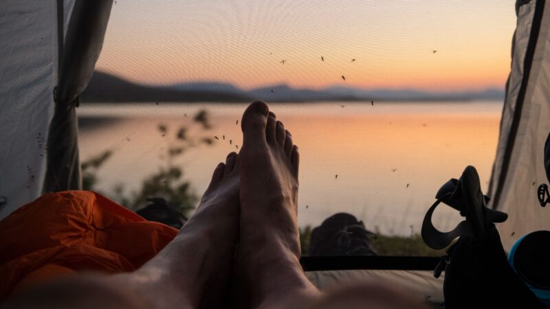 Mosquitoes feasting on a camper's feet