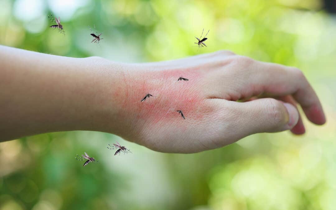 Preventing mosquitoes from biting with chemical camouflage