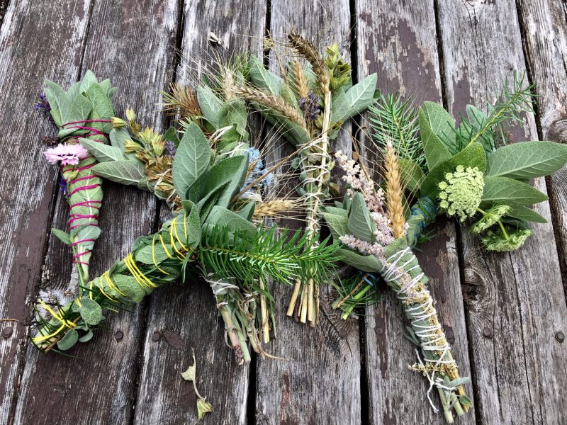 A bundle of repellent herbs for your bonfire