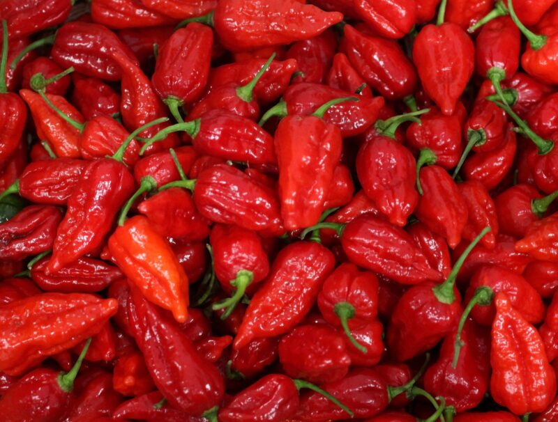 Carolina reaper chilies