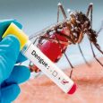 Dengue can happen at anytime, anywhere