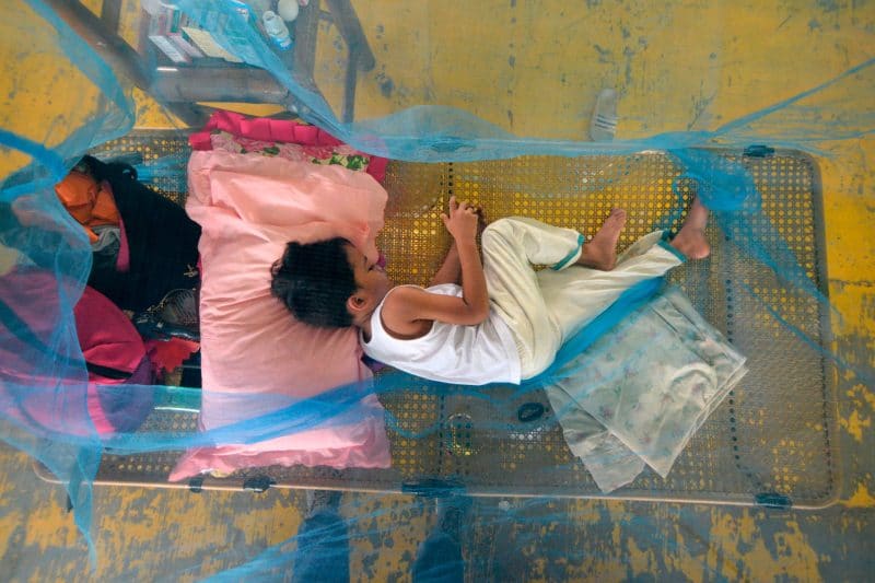 A child affected by high-risk mosquito bites and suffers from dengue