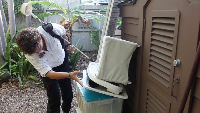 Cleaning the yard to remove stagnant water and mosquito nesting sites