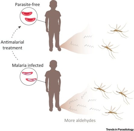 Malaria treatment