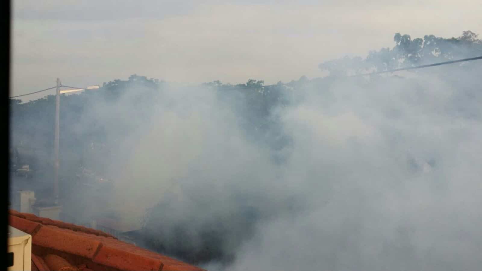 Mosquito fogging in a local community