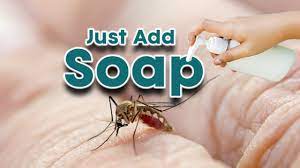 The soap solution to malaria