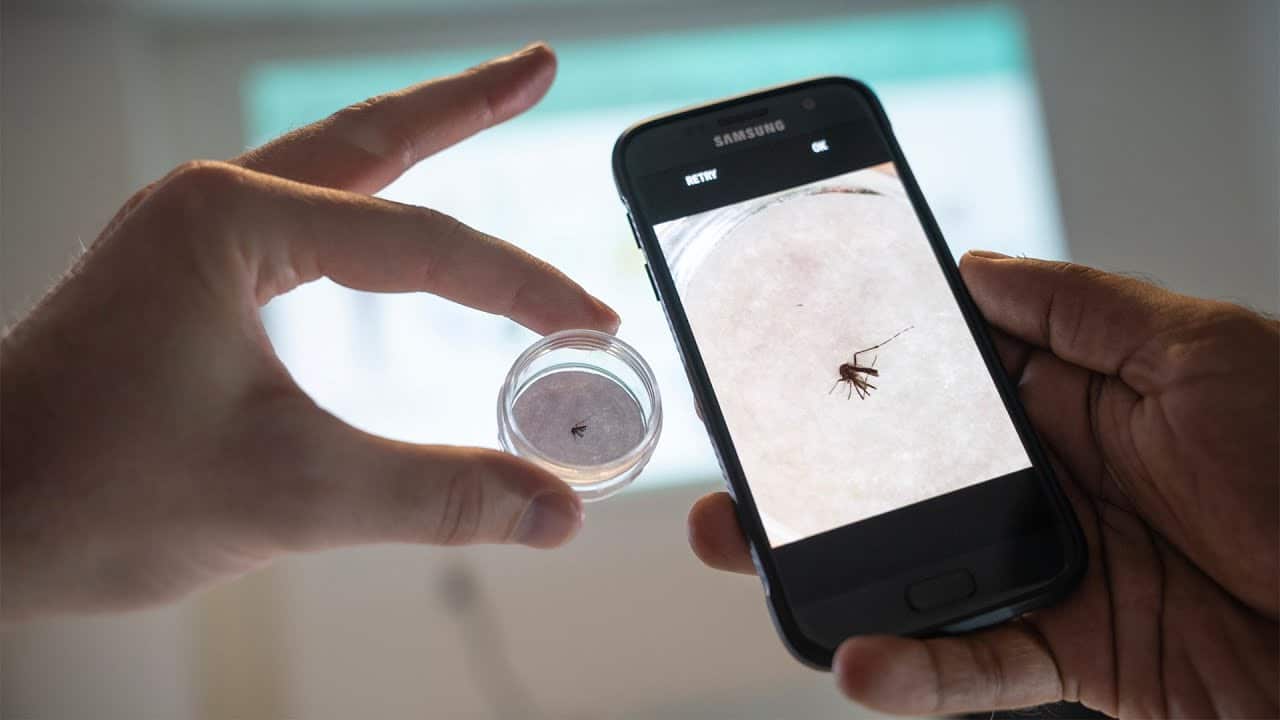 New technology can help fight mosquito-borne diseases