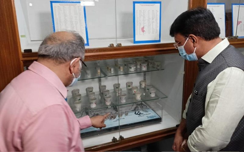 Scientists studying the artificial feeder