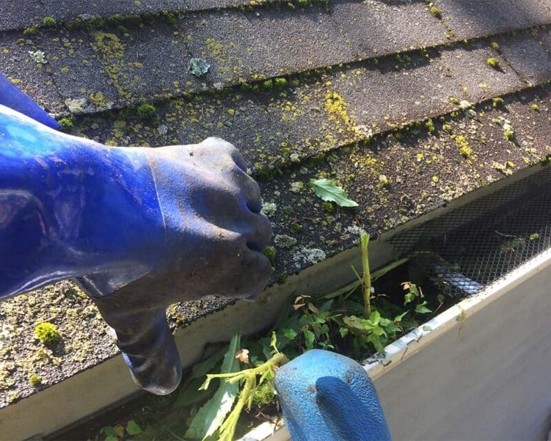 Gutter cleaning as part of mosquito awareness