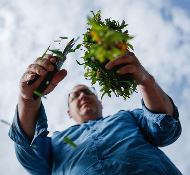 Man preparing herbs for bonfire