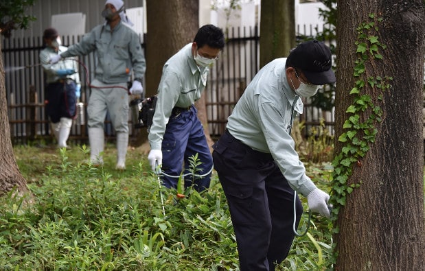 Clearing backyards to eliminate mosquito breeding grounds