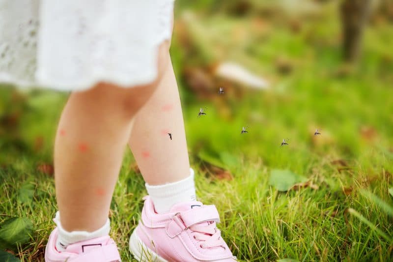 Little girl being bitten by spring mosquitoes