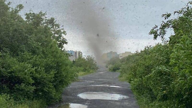 Mosquito tornado has affected so many people