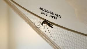 Use mosquito nets