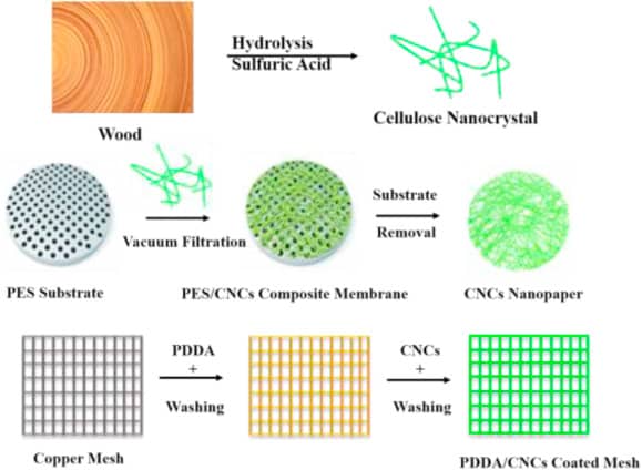 Cellulose nanocrystal synthesis from wood