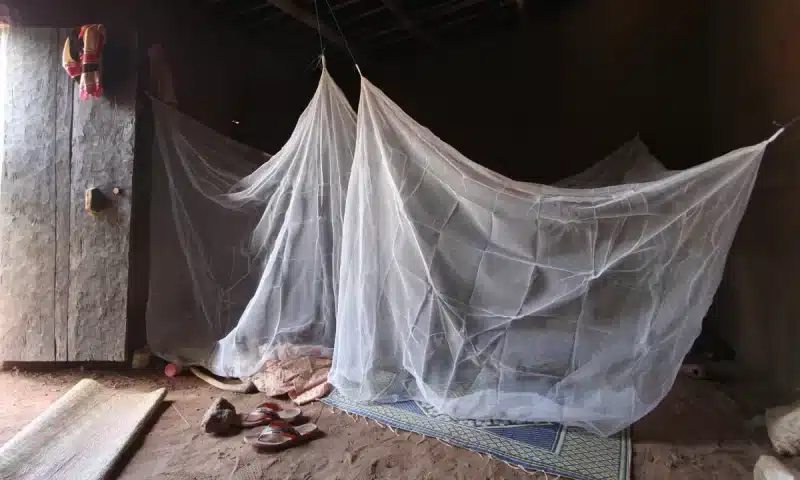 A rectangular mosquito net