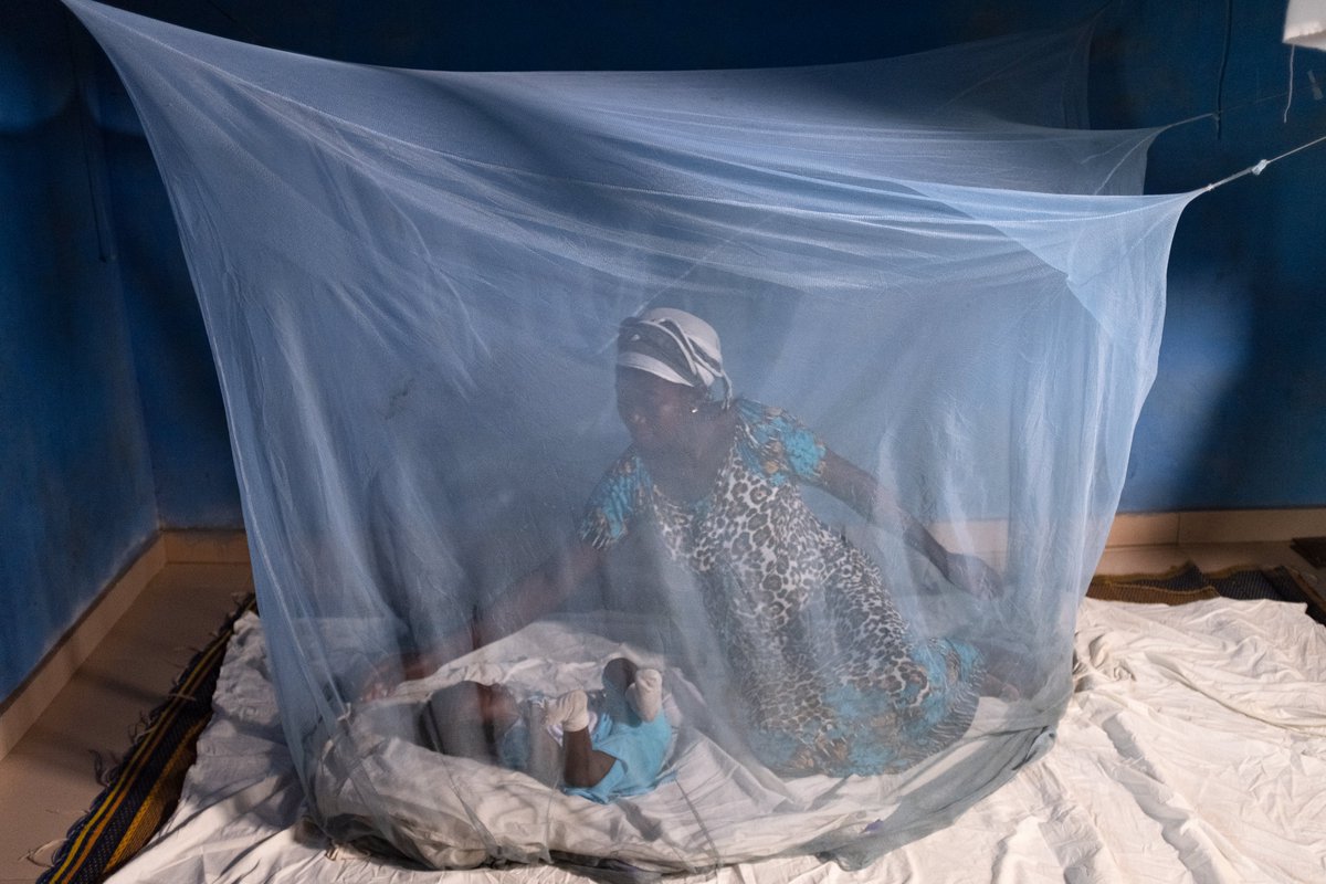 Use mosquito nets