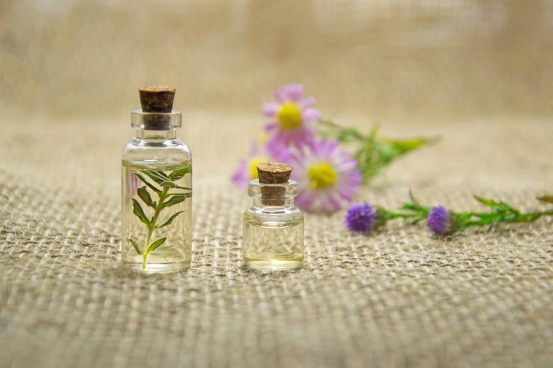 Essential oils as repellent ingredients