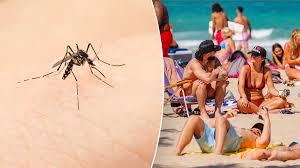 Spring break beaches and mosquitoes