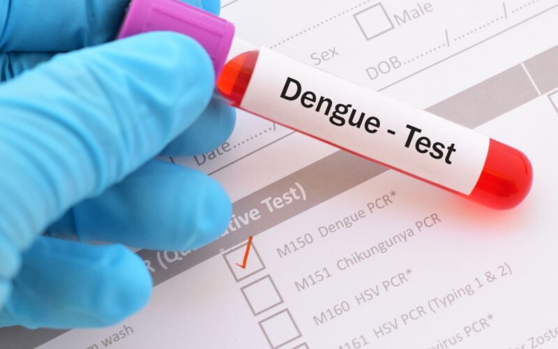 A dengue test can determine if you have it