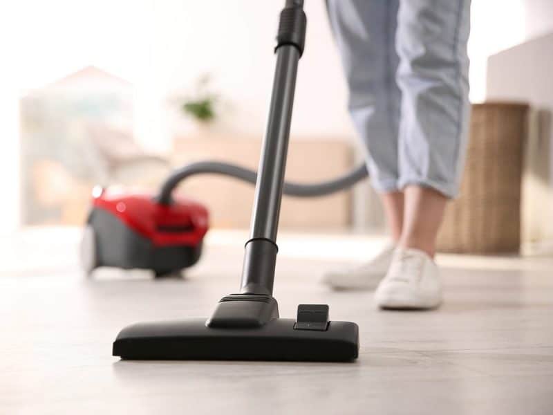 Woman vacuuming dead cluster flies 