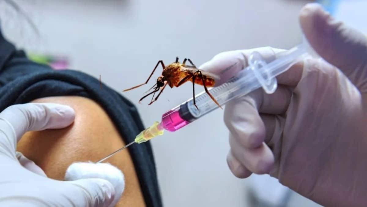 Chikungunya vaccine