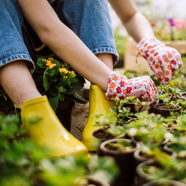 Woman gardening without insects present